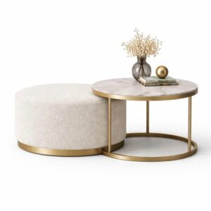 zhurnalnyj-stol-selena